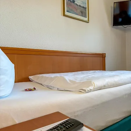 Hotel-restaurant Dechbettener Hof Hotel *